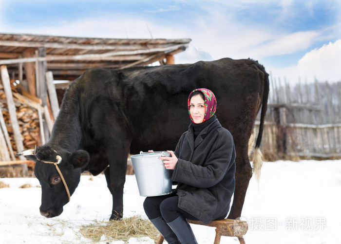 女人用桶附近奶牛挤奶