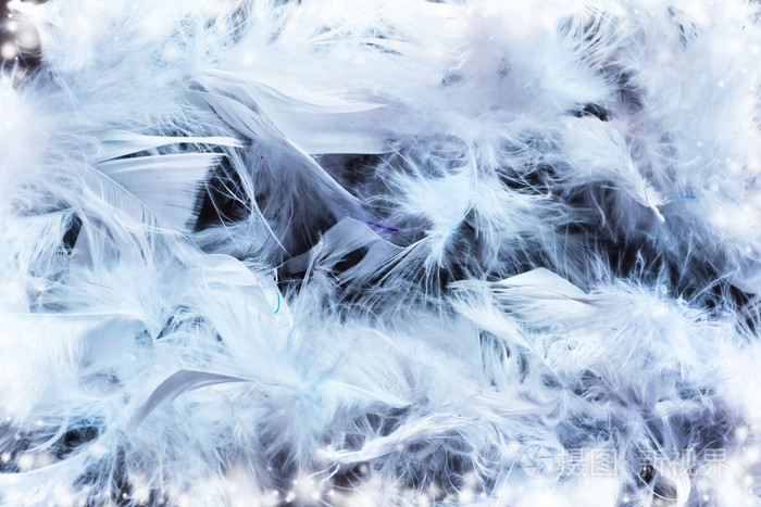 圣诞节羽毛背景