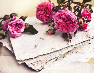 粉红色的玫瑰，花瓣和手工纸