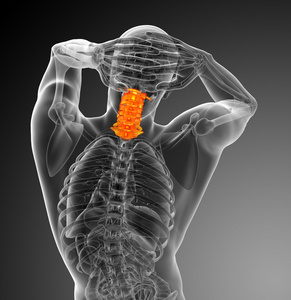 3d 渲染医学插图的颈椎