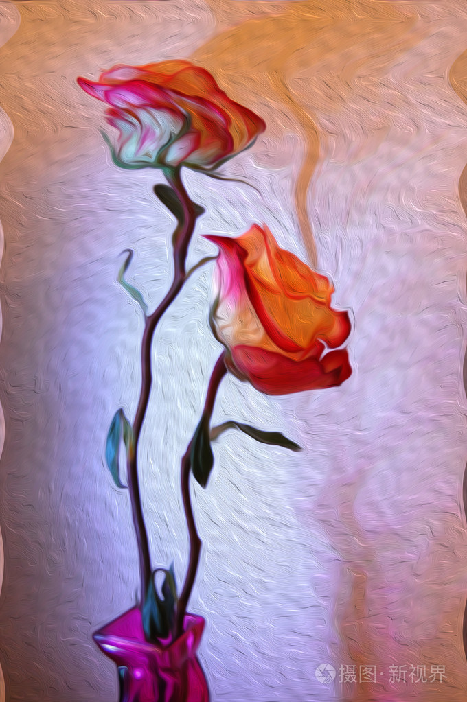 美丽的粉红色玫瑰图