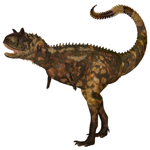恐龙一套batrachotomus 是在三叠纪期间住在德国的肉食性 archosaur