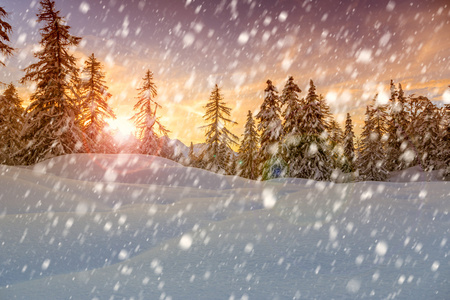 日落的冬季风景与雪