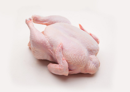 鸡身体图片