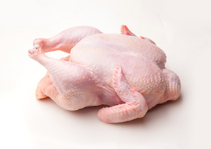 鸡身体图片