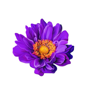 蒙娜  丽莎朵紫色的花