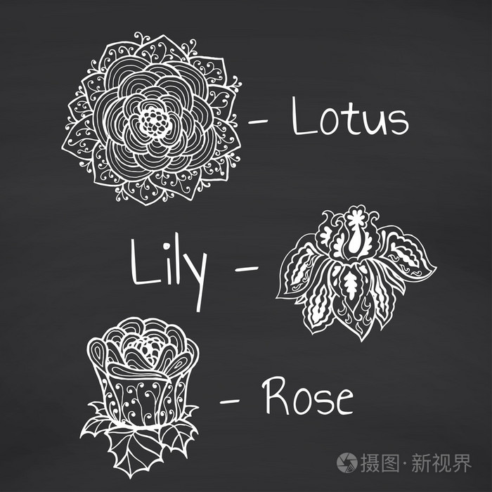 莲花 百合和玫瑰