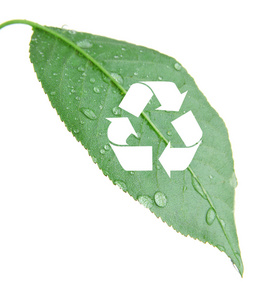 回收上绿色的叶子，回收概念的符号