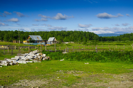 夏天风景