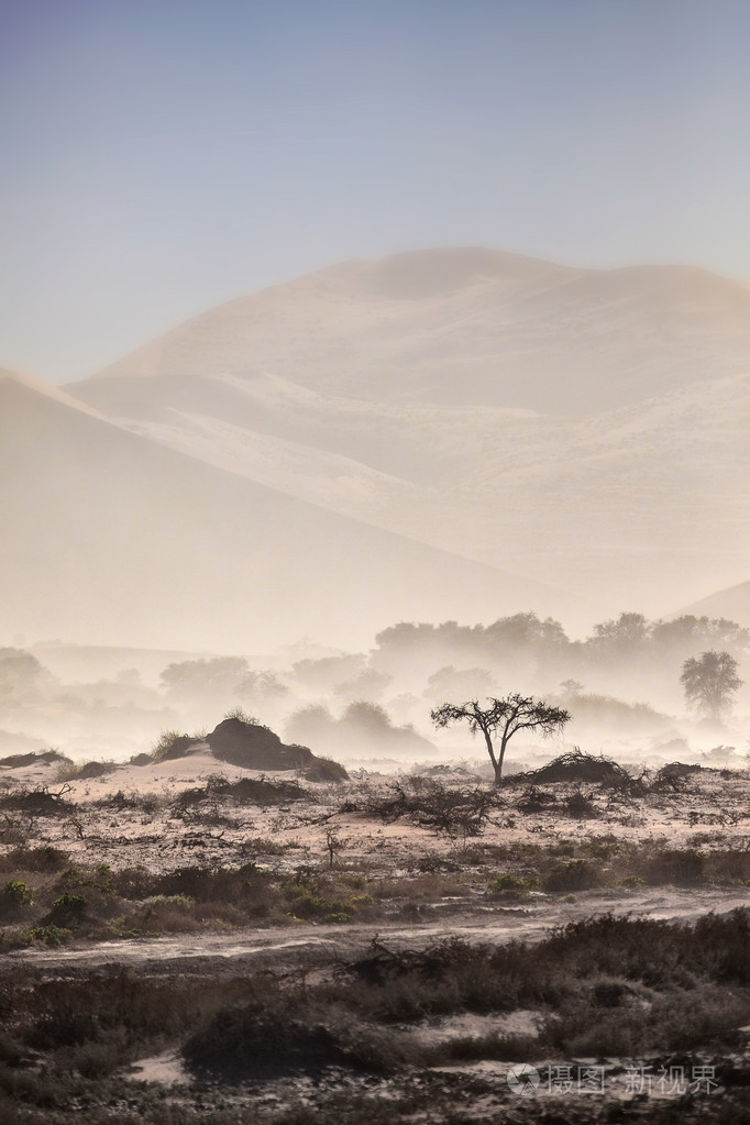 尘土飞扬的索苏斯