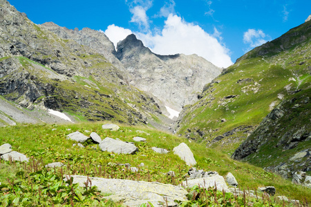 山风景