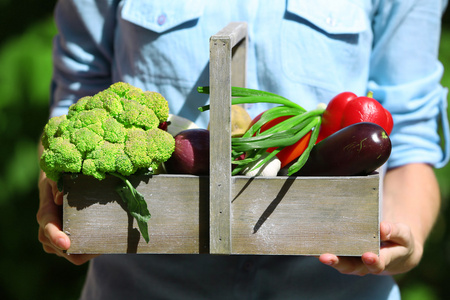 新鲜有机蔬菜在木制盒在手在户外