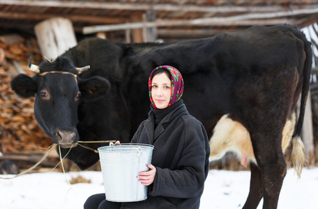 在冬天给奶牛挤奶桶的女人