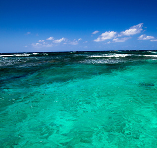 加勒比海洋和天空