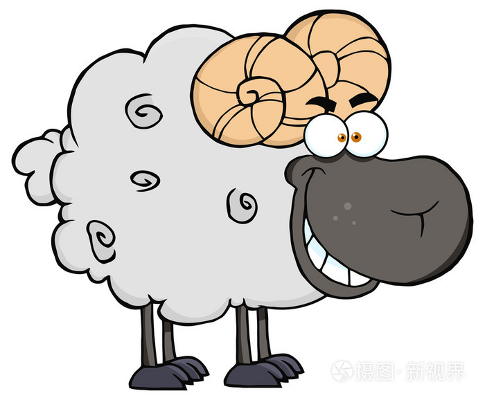 黑色的头部羊羊