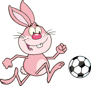 兔玩足球球