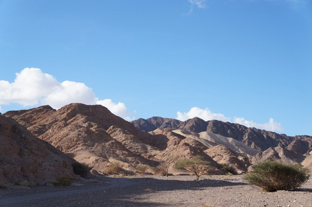 Wadi Shahamon，埃拉特