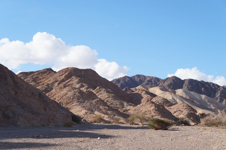 Wadi Shahamon，埃拉特