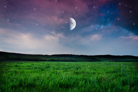 夜晚的天空和场背景