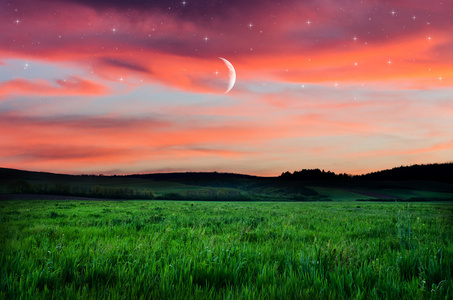 夜晚的天空和场背景