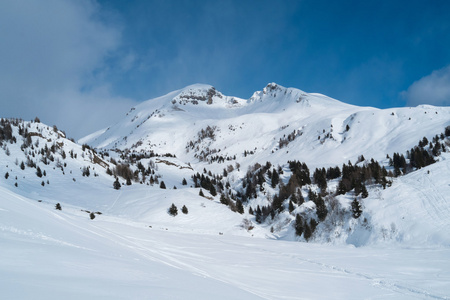 山与雪