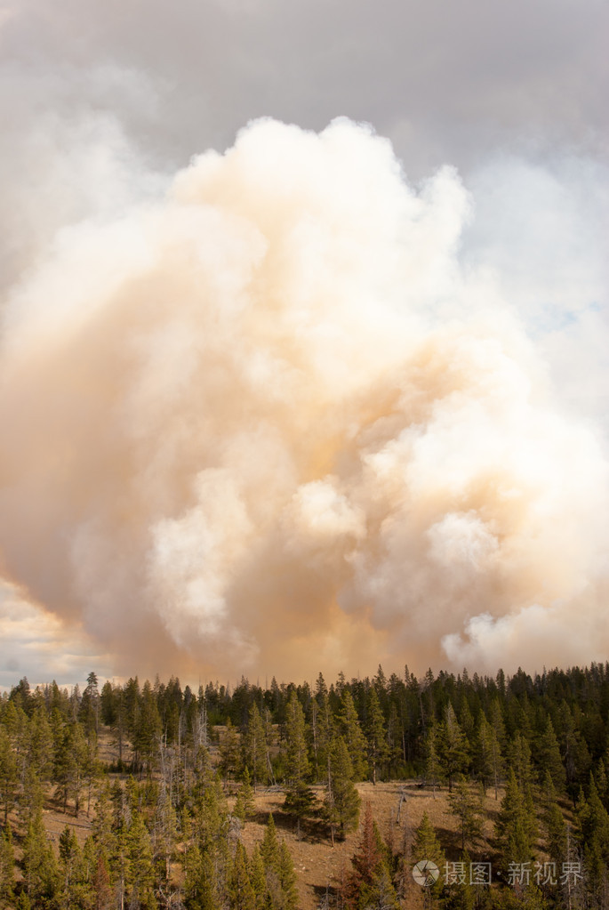 明亮的橙色森林大火烟雾在黄石公园