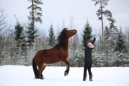 十几岁的女孩指挥后方匹栗色的马