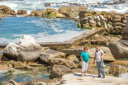 海星在潮池图片-海星在潮池素材-海星在潮池插画-摄图新视界