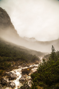 下山的河