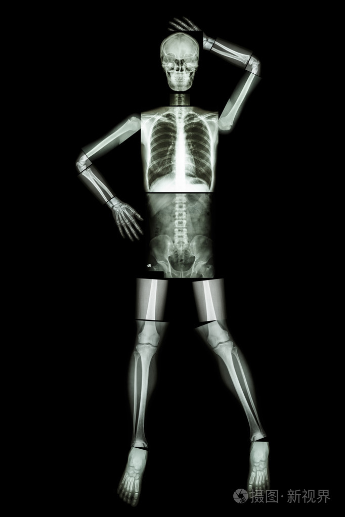性感骨骼(全身)