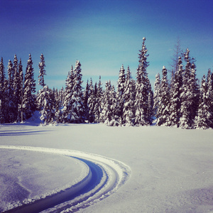 风景名胜 instagram 的雪地车跟踪在雪中