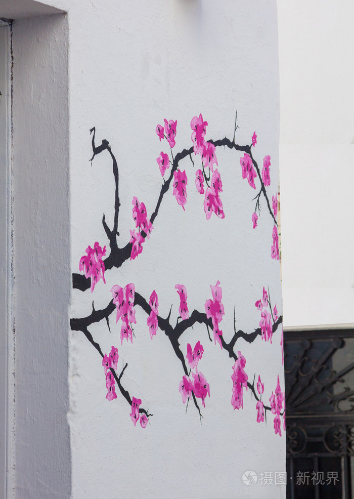 在白色的墙上画的花