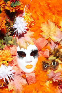 威尼斯狂欢节的秋天面具