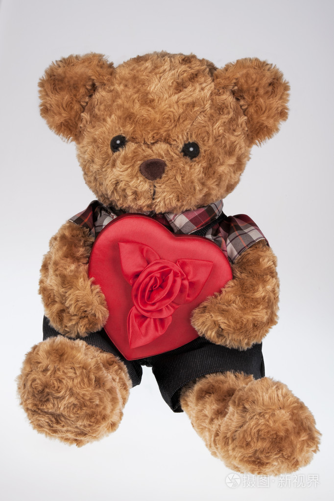 一只可爱的泰迪熊,手里拿着一个红色的心形盒子,孤立在w上