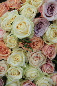 粉彩玫瑰婚礼安排中