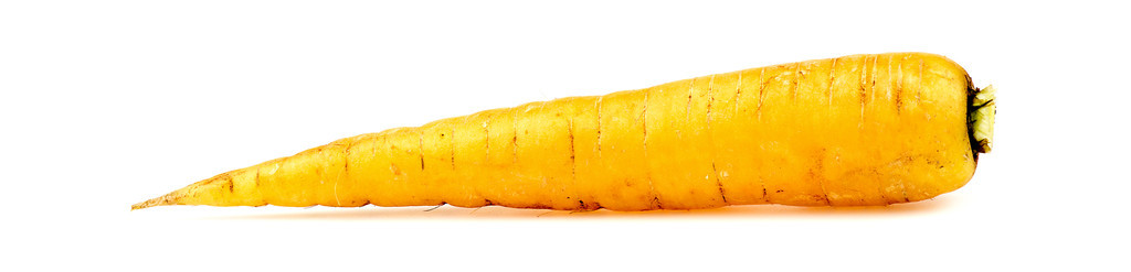 孤立在白色的黄色有机胡萝卜