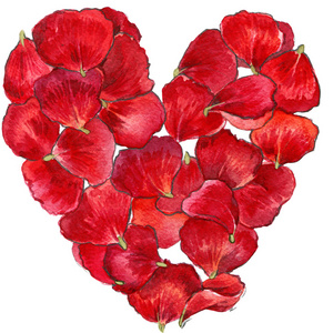 情人节那天。红色的心形的玫瑰。卡和祝贺鲜花水彩背景