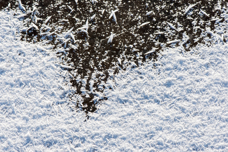 特写冰冻雪花