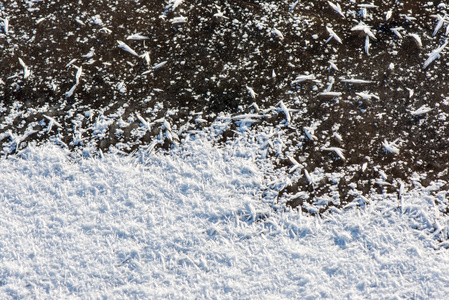 特写冰冻雪花