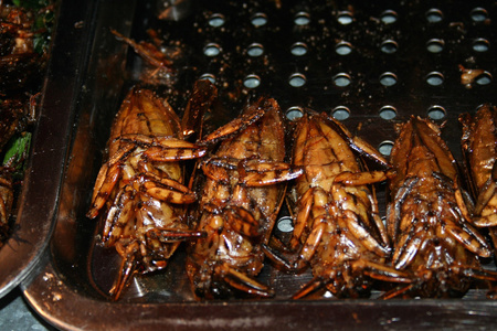 国家的亚洲美食昆虫后烧烤图片