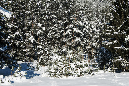 白雪皑皑的冬季风景