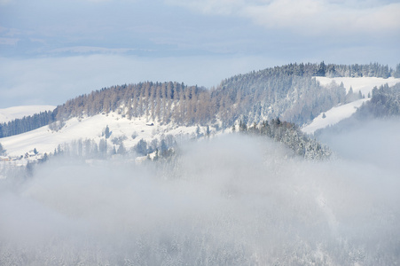 在皮拉图斯山，卢塞恩，瑞士冬季雾