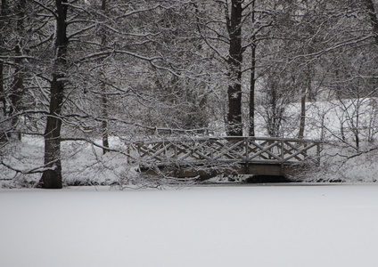 木桥在白色冬天风景在结冰的湖