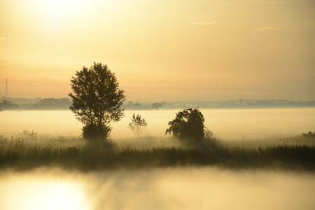 河上有雾晴朗的早晨