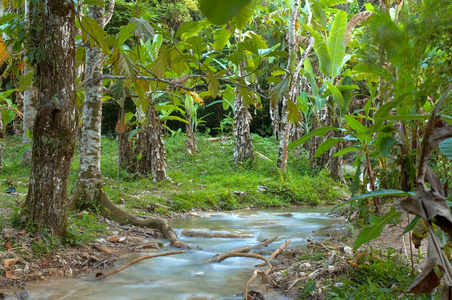 Agua Azul 瀑布