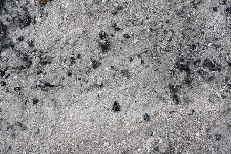 灰色的骨灰灰烬和煤照片