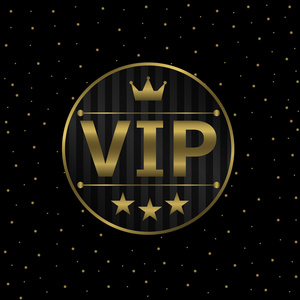 vip 图标