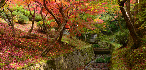 日本花园