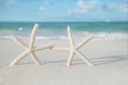白色在白色沙滩上的海星