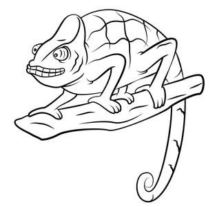 变色龙纹身图片